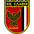 Team logo